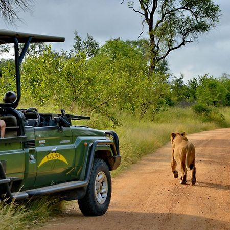 Kruger Safari Lodge Rizab Memburu Manyeleti Luaran gambar