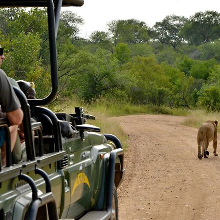 Kruger Safari Lodge Rizab Memburu Manyeleti Luaran gambar