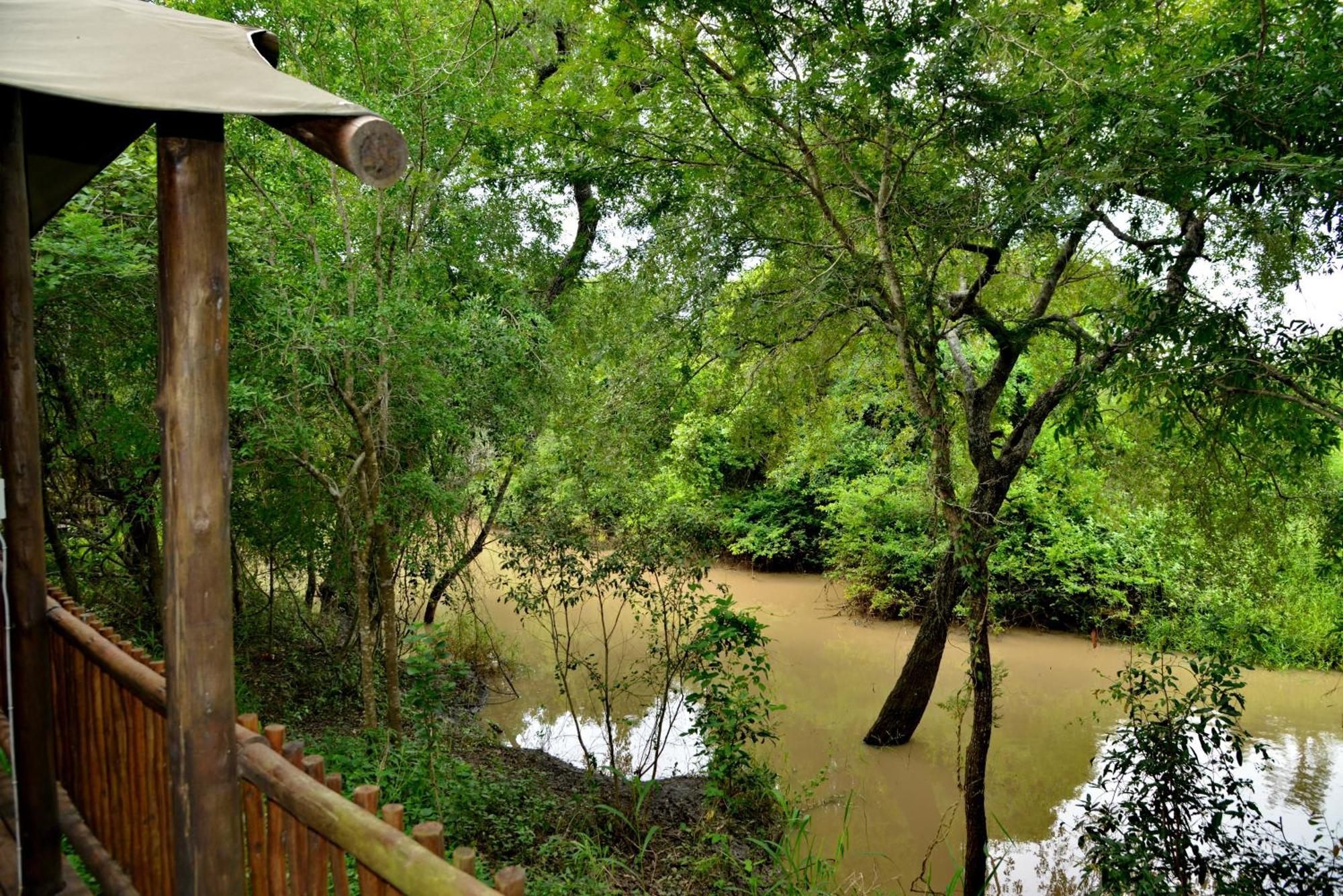 Kruger Safari Lodge Rizab Memburu Manyeleti Luaran gambar