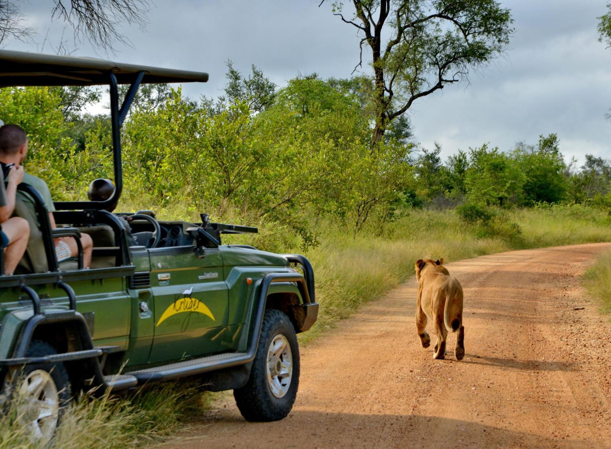 Kruger Safari Lodge Rizab Memburu Manyeleti Luaran gambar